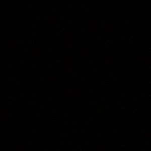 Meet your Posher, Huda